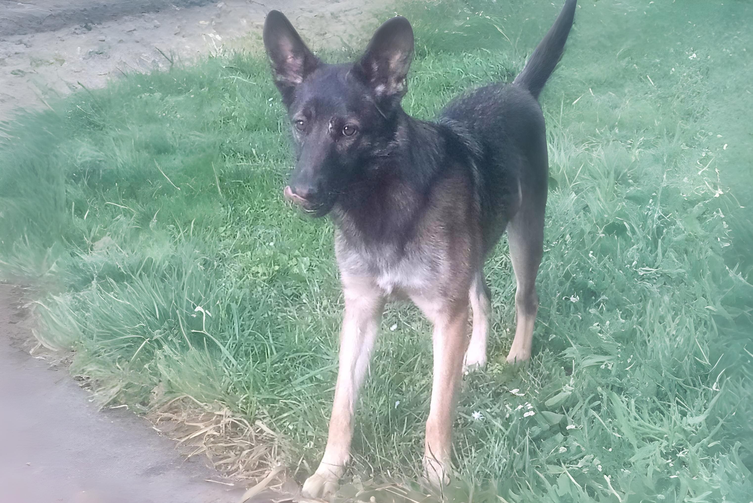 L'analyse comportementale Durée minimum 2h00 - 85€